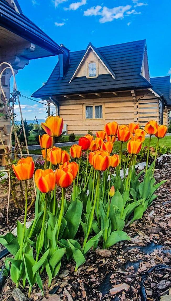 Domki Gorskie Janosik, Kwicol I Pyzdra Gliczarow Bagian luar foto